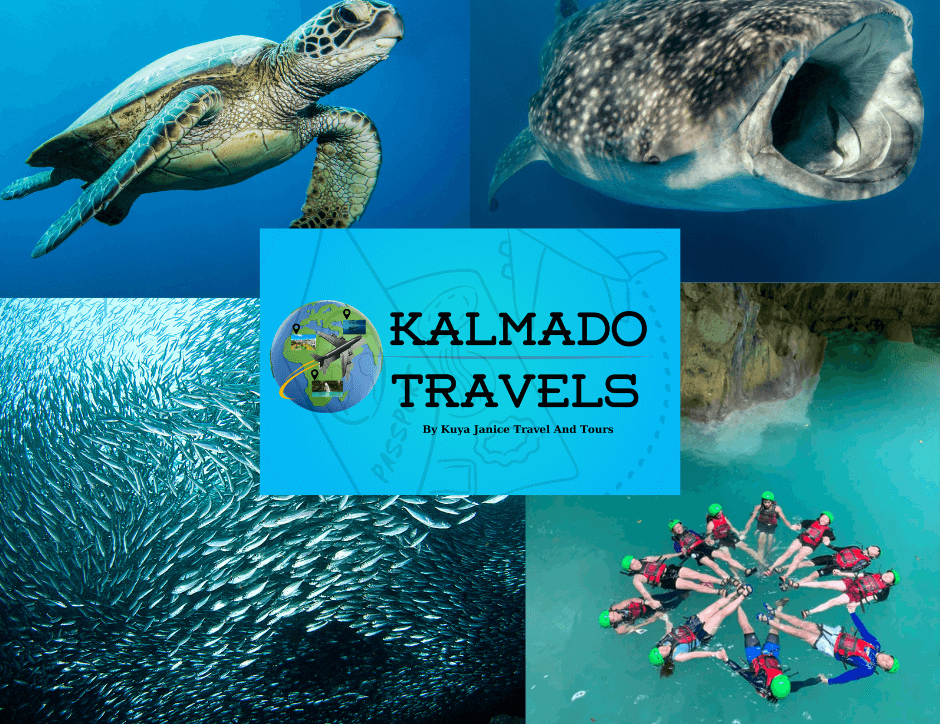 snorkeling whale shark sardines canyoneering